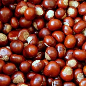mira lo fácil que es hacer Castañas asadas en Crock Pot