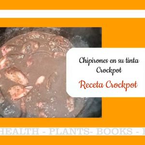 Calamares o Chipirones en su tinta en Crockpot