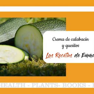 Crema de calabacín y quesitos olla cocción lenta