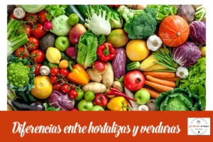 diferencia entre hortalizas y verduras