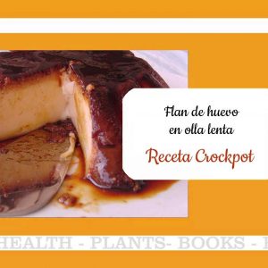 Flan de huevo casero en olla lenta