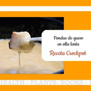 Fondue de queso en Crockpot