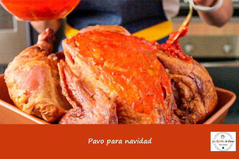 pavo navidad
