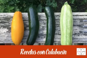 Receta de calabacines fáciles y rápidas