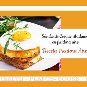 Sándwich Croque Madame en freidora de aire