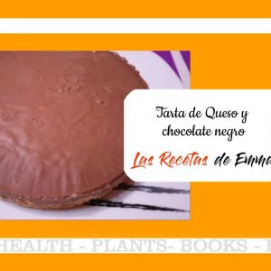 Tarta de queso y chocolate negro